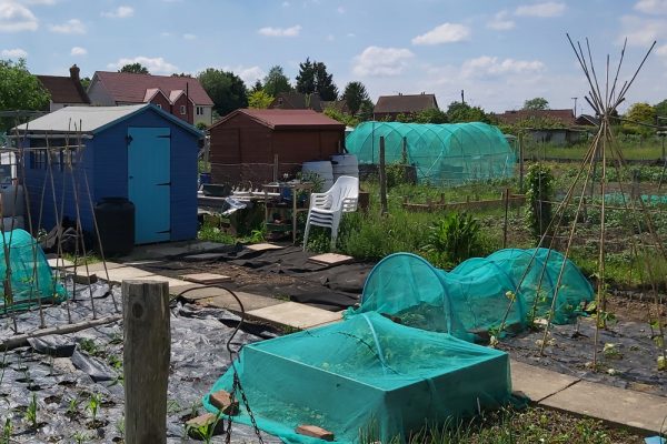 allotment 1 allotment 1