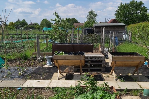 allotment 2 allotment 2