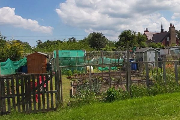 allotment 3a allotment 3a