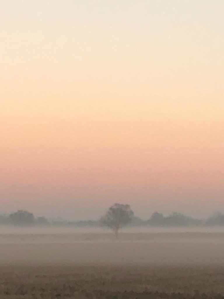 Misty East Capel