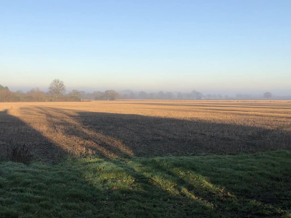 East Capel