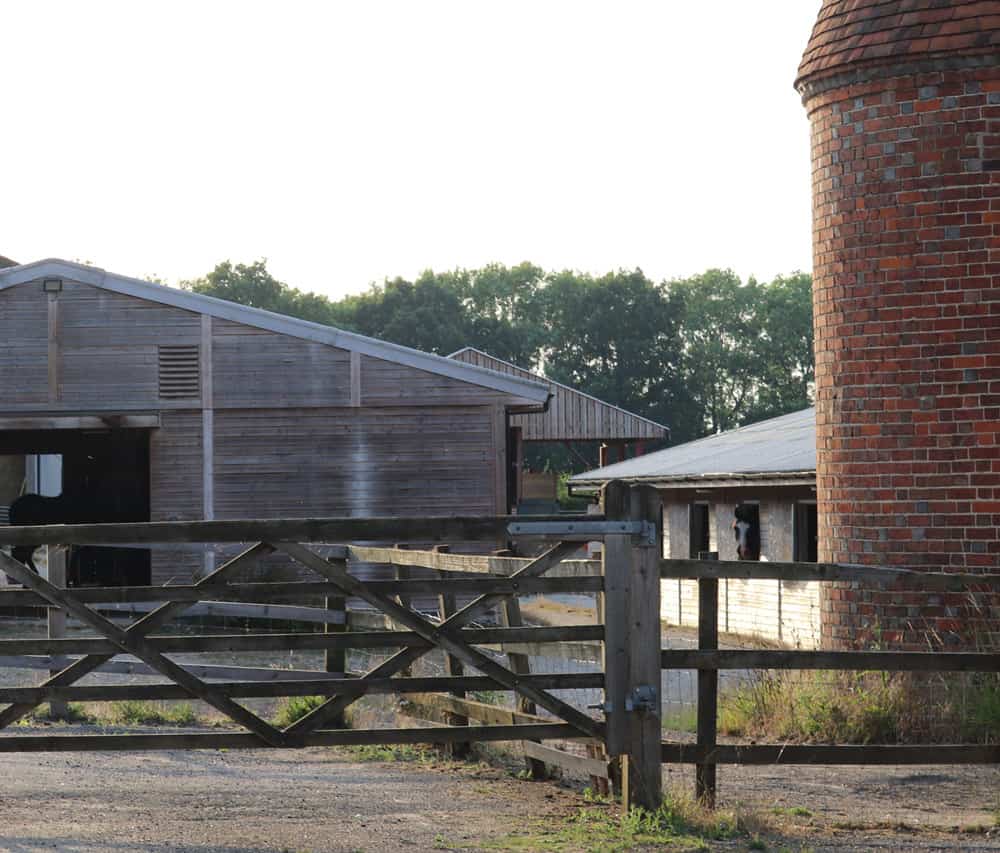 Stables